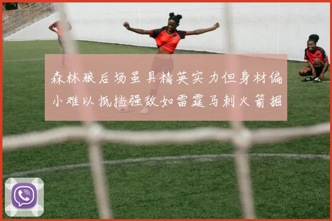 森林狼后场虽具精英实力但身材偏小难以抵挡强敌如雷霆马刺火箭掘金