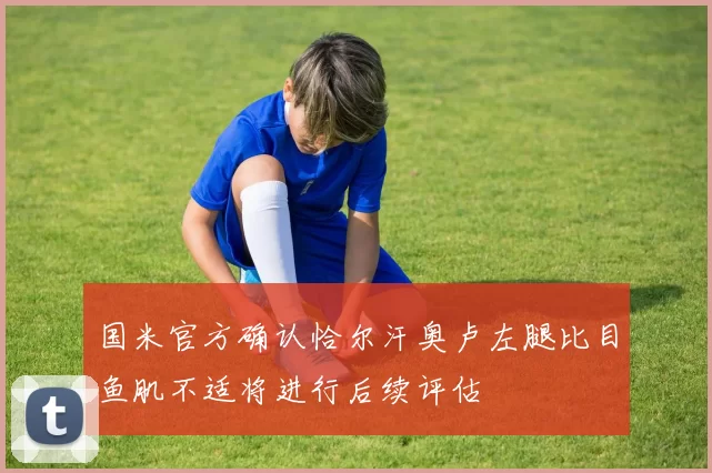 国米官方确认恰尔汗奥卢左腿比目鱼肌不适将进行后续评估